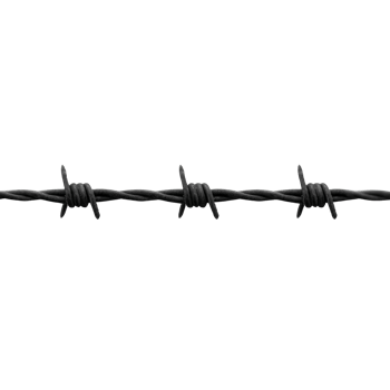 Close up image of barbed wire strand, showcasing its sharp metal spikes and twisted design, often used for security and fencing purposes png