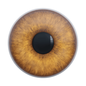 This is image of detailed, realistic brown eye with intricate patterns in iris. eye is centered and isolated on transparency background, highlighting its texture and color png