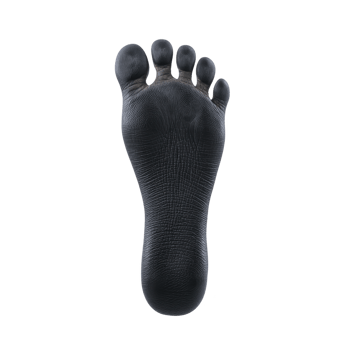Detailed black footprint on transparency background showcases intricate patterns and textures, highlighting unique lines and curves of sole png