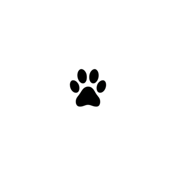 Simple black paw print icon is centered transparency background, symbolizing animals or pets. minimalist design is often used pet related graphics or logos. paw print icon transparency background png