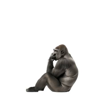 Thoughtful gorilla sits with pensive expression, showcasing its powerful build and natural habitat. image captures essence of wildlife and animal behavior png