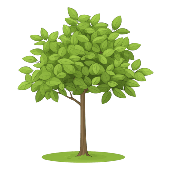 Vibrant green tree with lush foliage and sturdy brown trunk stands on small patch of grass, symbolizing nature and growth png