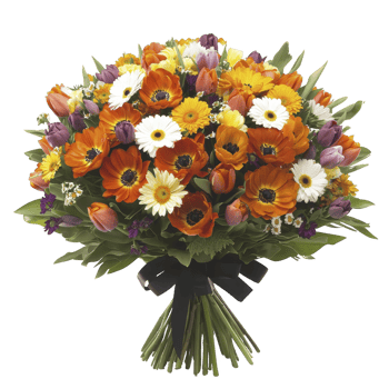 Vibrant bouquet of mixed flowers including orange gerberas, white daisies, and purple tulips, arranged with lush green leaves, creating cheerful and colorful display png