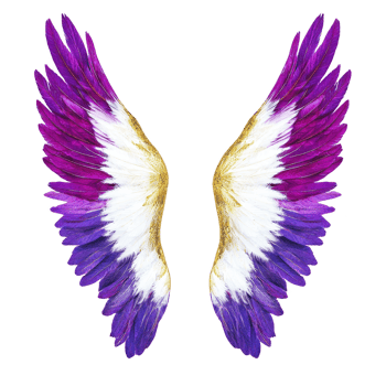 Vibrant purple and white angel wings with golden accents create striking and ethereal appearance. feathers are intricately detailed, showcasing blend of colors png