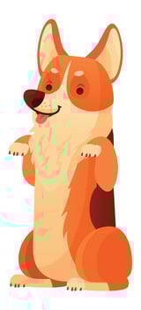 Cartoon welsh corgi pembroke sitting on hind legs, playfully sticking out its tongue, exuding happiness and charm, creating a delightful scene against a clean white background vector