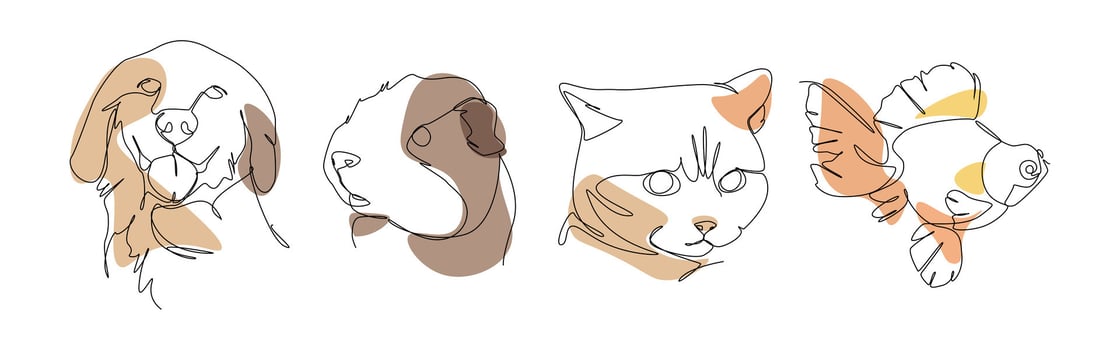 Set of pets in one line drawing style. Dog, guinea pig, cat, and fish. Editable colored illustration. vector