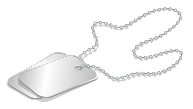 realistic empty personal military number badge on chain for soldier. 3D isolated on white background vector