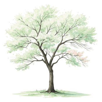A watercolor illustration of a tree with green leaves png