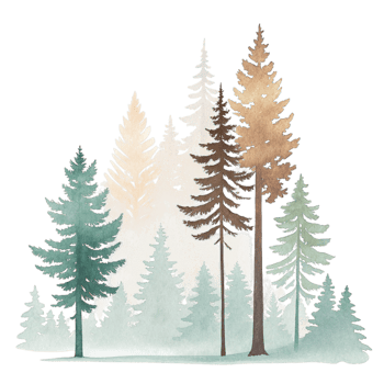 Watercolor illustration of trees in the forest png