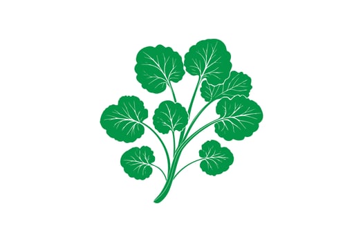 A green leafy plant on a white background vector