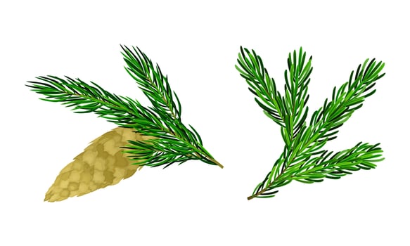 Christmas tree branches with pine cone set cartoon illustration vector