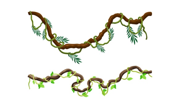 Creeper climbing branches with green leaves set. Tropical hanging plants illustration vector