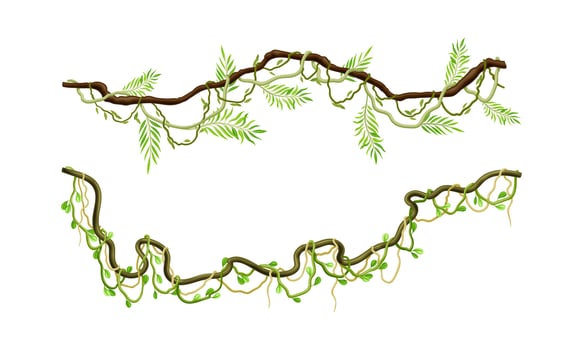 Green climbing branches set. Tropical climbing plants, twigs of tropical vines and trees illustration vector