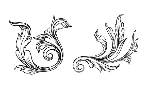 Floral decorative design elements set, classic hand drawn decor illustration vector