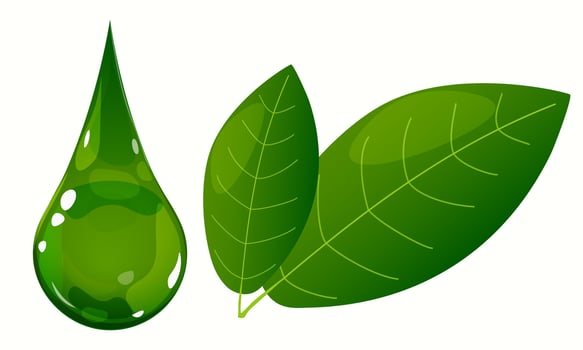 Eco friendly elements. Drop of oil, liquid, dew, tea leaves, plants. cartoon style vector
