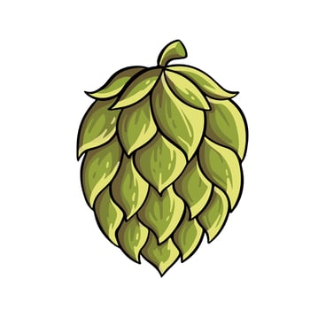Green hops plant illustration vector