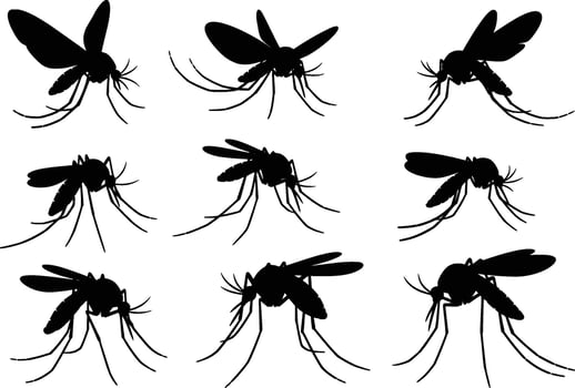 set of mosquito silhouettes isolated on white background vector