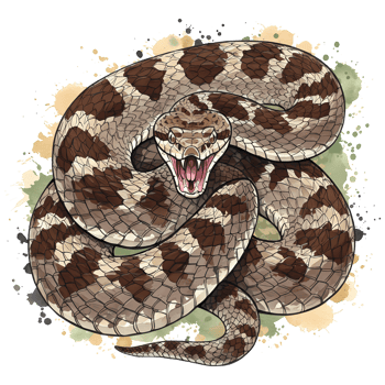 Coiled Timber Rattlesnake with Open Mouth Artwork on Black Backdrop Showcasing Detailed Scale Textures and Neutral Tones with Watercolor Splatters, transparent background png