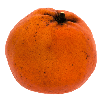 3d render orange fruit citrus healthy fresh food with transparent background png