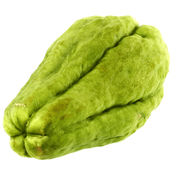3d render green chayote fruit vegetable with transparent background png