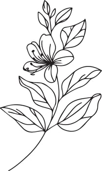 Hibiscus flower coloring pages. Realistic Honeysuckle flower coloring pages, hand-drawn flower Honeysuckle Black outline drawing, perfect coloring page for adults, isolated on a white background vector