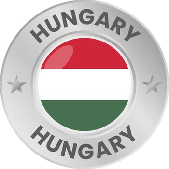 Hungary flag in silver colored medal. National flag in metal circle emblem. vector