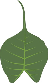 Exotic Green Tropical Leaves in Cartoon Design vector