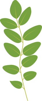 Exotic Green Tropical Leaves in Cartoon Design. vector