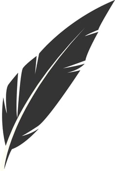 Silhouette of Majestic Feather. Bird Feather on White Background vector