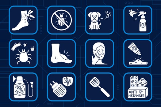 Insect allergy set icon. Mosquito sting, forbidden bug, dog and mosquito, insect spray, tick danger, foot swelling, facial reaction, cream tube, bug cleaner, plug repeller, swatter, antihistamine pack vector