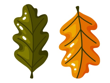 Two Oak Leaves Hand Drawn Illustration vector