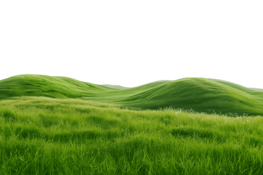 Green grass landscape wallpaper png