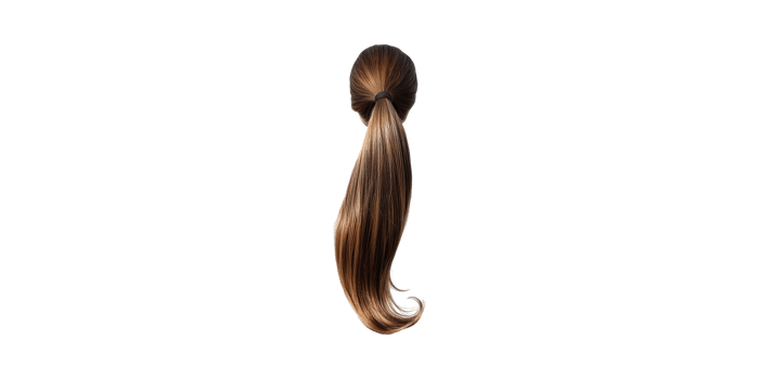 Brown hair ponytail hairstyle with wavy tail isolated on transparent background png