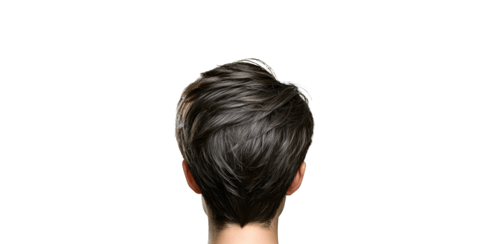 Back view of a short, layered brown hairstyle isolated on transparent background png