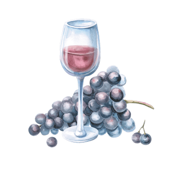 Glass of red wine and bunch of grapes. Isolated watercolor illustration for bar menu design, restaurant interior, printing on alcoholic products, printing on textiles. png