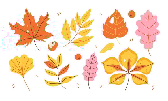 Set of hand-drawn autumn leaves. Seasonal design, scrapbooking, nature projects vector
