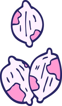 Two onions are shown in a cartoon style vector