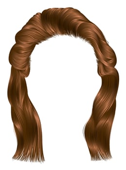 Illustration of long brown hairstyle design vector