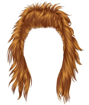 Shaggy brown fauxhawk hairstyle illustration vector