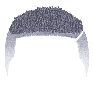 trendy curly african short gray hair vector