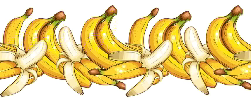 Banana Seamless. Seamless Garland with Fruits. Horizontal Border with fresh Fruits. Fruits Background Seamless. Healthy Food Concept. Organic Food Farmers Markets, Banner, Flyer, Wallpaper, textile vector
