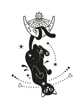 Black magic cat floating upside down with moon vector