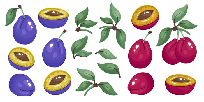 Colorful plums with leaves illustrations vector