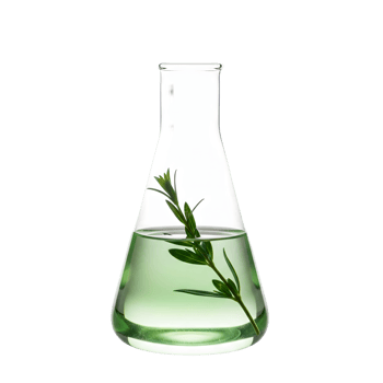 A clear erlenmeyer flask filled with green liquid and a sprig of herb, isolated on transparent background png