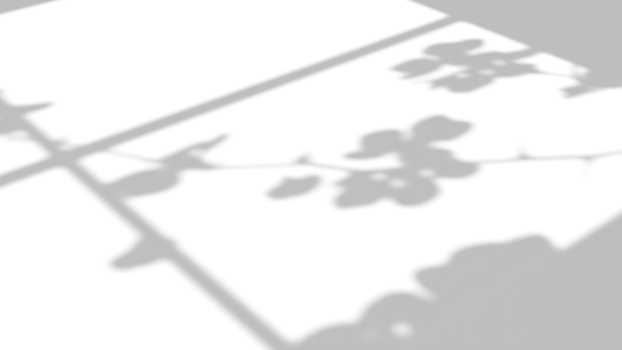 Realistic shadow overlay effect with branch flower and window png