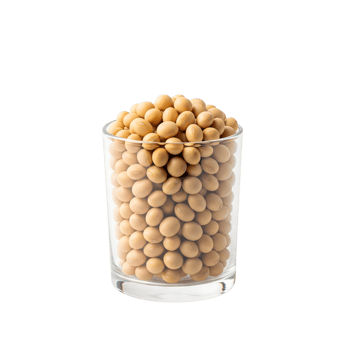 A glass is filled to the brim with soybeans isolated on transparent background png