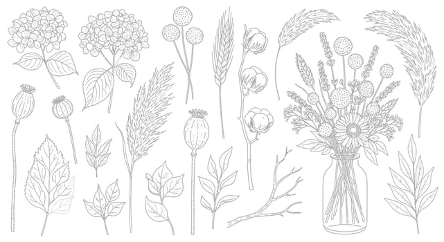 Dried Flowers Sketch Botanical Illustration. vector
