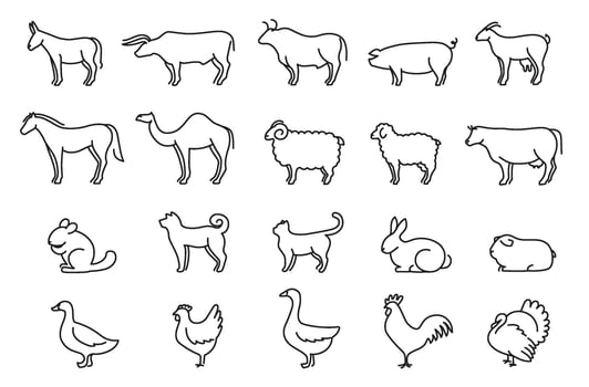 Linear farm and domestic animals. One continuous line donkey, bull, pig, goat, horse and camel. Sheep, lamb and cow. Dog, cat and guinea pig pets. Minimal mammals and birds illustrations set vector