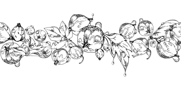 Currant gooseberry, leaves in water dew drops hand drawn in ink, scattered ripe garden berry. Seamless isolated banner garland. Home preserves, textile catalog, food store decor, recipe book vector