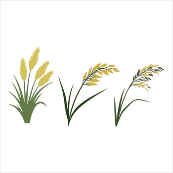 Stylized depiction of three different wheat or grass stalks vector